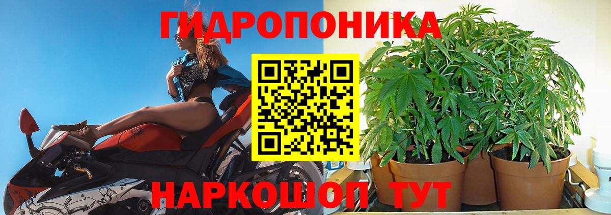Бошки Шишки план Ирбит